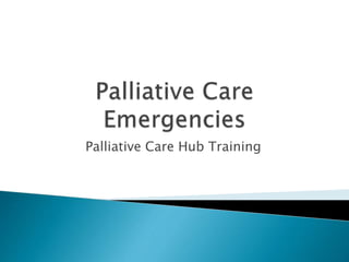 Palliative Care Hub Training
 