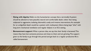 Undignified Real Life Examples Comprehensive Overview of Palliative Care: Principles, Team Roles, and ...