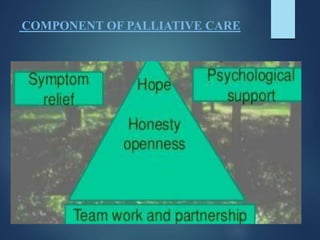 COMPONENT OF PALLIATIVE CARE
 