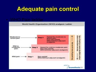 Adequate pain control WHO Pain ladder 