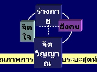 ร่างกาย จิตใจ สังคม คุณภาพการดูแลผู้ป่วยระยะสุดท้าย จิตวิญญาณ 
