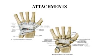 ATTACHMENTS
 