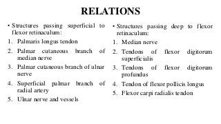 RELATIONS
• Structures passing superficial to
flexor retinaculum:
1. Palmaris longus tendon
2. Palmar cutaneous branch of
median nerve
3. Palmar cutaneous branch of ulnar
nerve
4. Superficial palmar branch of
radial artery
5. Ulnar nerve and vessels
• Structures passing deep to flexor
retinaculum:
1. Median nerve
2. Tendons of flexor digitorum
superficialis
3. Tendons of flexor digitorum
profundus
4. Tendon of flexor pollicis longus
5. Flexor carpi radialis tendon
 