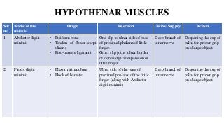 HYPOTHENAR MUSCLES
SR.
no
Name of the
muscle
Origin Insertion Nerve Supply Action
1 Abductor digiti
minimi
• Pisiform bone
• Tendon of flexor carpi
ulnaris
• Piso-hamate ligament
One slip to ulnar side of base
of proximal phalanx of little
finger.
Other slip joins ulnar border
of dorsal digital expansion of
little finger
Deep branch of
ulnar nerve
Deepening the cup of
palm for proper grip
on a large object.
2 Flexor digiti
minimi
• Flexor retinaculum
• Hook of hamate
Ulnar side of the base of
proximal phalanx of the little
finger (along with Abductor
digiti minimi)
Deep branch of
ulnar nerve
Deepening the cup of
palm for proper grip
on a large object.
 