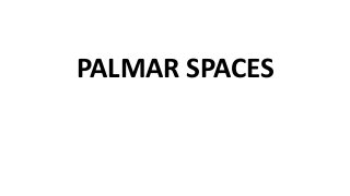 PALMAR SPACES
 