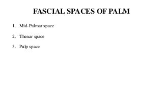 FASCIAL SPACES OF PALM
1. Mid-Palmar space
2. Thenar space
3. Pulp space
 