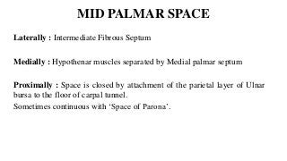 MID PALMAR SPACE
Laterally : Intermediate Fibrous Septum
Medially : Hypothenar muscles separated by Medial palmar septum
Proximally : Space is closed by attachment of the parietal layer of Ulnar
bursa to the floor of carpal tunnel.
Sometimes continuous with ‘Space of Parona’.
 