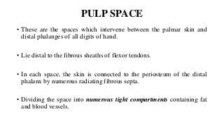 PULP SPACE
• These are the spaces which intervene between the palmar skin and
distal phalanges of all digits of hand.
• Lie distal to the fibrous sheaths of flexor tendons.
• In each space, the skin is connected to the periosteum of the distal
phalanx by numerous radiating fibrous septa.
• Dividing the space into numerous tight compartments containing fat
and blood vessels.
 