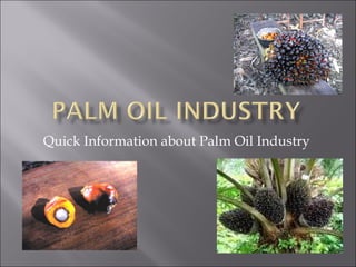 Quick Information about Palm Oil Industry 
