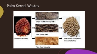 Palm oil-mill-wastes