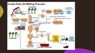 Palm oil-mill-wastes