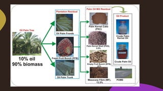 Palm oil-mill-wastes