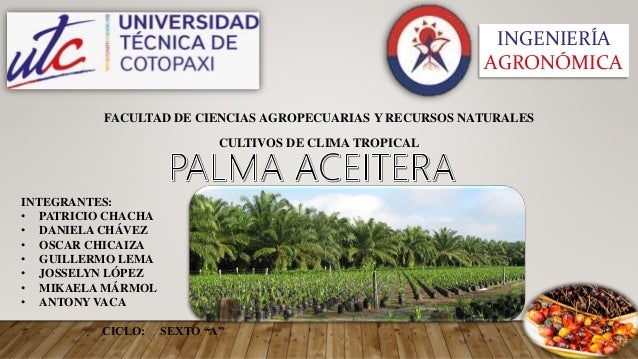 Guia Palma Aceitera Ecuador