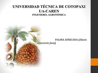 UNIVERSIDAD TÉCNICA DE COTOPAXI
UA-CAREN
INGENIERÍA AGRONÓMICA

PALMA AFRICANA (Elaeis
guineensis Jacq)

 