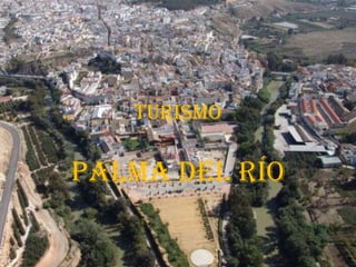 turismo Palma del Río 