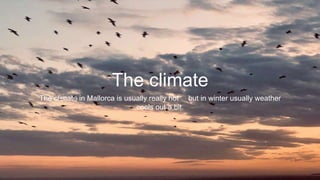 The climate
The climate in Mallorca is usually really hot 🛍 but in winter usually weather
cools out a bit.
 