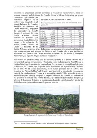 Los monocultivos industriales de palma africana y sus impactos territoriales, sociales y ambientales
Página 10
ocasiones se encuentran también asociados a productores trasnacionales. Entre los
grandes emporios palmicultores de Ecuador figura el Grupo Indupalma, de origen
colombiano, que cuenta con
numerosas empresas en el
sector y está integrado en el
gigante Palmeras del Ecuador.
También se encuentra el
Grupo Morisaenz, propiedad
del embajador en EEUU
durante el gobierno de León
Febres Cordero, siendo
ministro de Finanzas del
gobierno de Durán Ballén. En
cuanto a la utilización de
aceites crudos, destaca el
Grupo La Favorita, de la
familia Noboa, o al propio grupo Indupalma. Las empresas propiamente palmicultoras
más representativas son, además de Palmeras del Ecuador -de la que también es
accionista El Comercio del Grupo Mantilla- Palmeras de los Andes o Compañía
Palmoriente, de capitales belgas, alemanes o ingleses16
.
Por último, se estudiará como caso la situación respecto a la palma africana de la
nacionalidad secoya (recientemente rebautizada como Siekopai por la Asamblea de la
Nacionalidad) con la explotación palmicultora. En este caso, la compañía palmicultora
es Palmeras del Ecuador, que llegó al Cantón Shushufindi, en la provincia de Orellana,
en los años 70. El Estado ecuatoriano, en el marco generado por el IERAC para
colonizar las "tierras baldías" del Oriente -que favoreció la explotación petrolera por
parte de la estadounidense Texaco y la compañía estatal CEPE-, concedió territorio
ancestral indígena (siona y secoya) a la empresa Palmeras del Ecuador. La explotación
fue creciendo a costa de estas "tierras baldías", que en realidad eran tierras indígenas, y
a través de la compra de tierras al campesinado, llegando a conformar, hoy en día, las
10000 hectáreas que relatábamos en el apartado anterior.
Fotografía propia de la extensión de Palmeras del Ecuador en Shushufindi.
16
VVAA (2001) El amargo fruto de la Palma aceitera (Movimiento Mundial por los Bosques Tropicales)
 