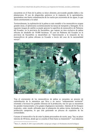 Los monocultivos industriales de palma africana y sus impactos territoriales, sociales y ambientales
Página 5
encuentran en el fruto de la palma su único alimento, provocando grandes daños a las
plantaciones. El uso de plaguicidas químicos es la respuesta de la agroindustria,
generándose una fuerte contaminación de los suelos por escorrentía de las aguas, lo que
afecta enormemente a la salud.
Territorialmente, la explotación de la palma es más rentable si los monocultivos ocupan
grandes áreas, al optimizarse económicamente las tareas de transporte y fumigado. En la
siguiente imagen de satélite se puede apreciar la superficie de monocultivo de Palmeras
del Ecuador, en la provincia de Sucumbíos, que supone un área exclusiva de palma
africana de alrededor de 10.000 hectáreas. El caso de Palmeras del Ecuador en la
provincia de Sucumbíos se desarrollará en "Aproximación a la situación de los
monocultivos de palma africana en Ecuador a través del caso de la nacionalidad
secoya".
Tras el crecimiento de los monocultivos de palma se encuentra un proceso de
redistribución de la naturaleza que lleva a un nuevo “ordenamiento territorial”
orientado a favorecer los grandes intereses de la producción, tras los que se encuentran
las grandes trasnacionales y los grupos oligárquicos nacionales. Además de los bosques
tropicales, están siendo utilizadas para la plantación de palma tierras destinadas a la
producción campesina, lo que está generando un proceso de expulsión de las
comunidades.
Cercano al monocultivo ha de estar la planta procesadora de aceite, pues "hay un plazo
máximo de 48 horas, desde que se cosecha el fruto hasta su tratamiento"9
. Las industrias
9
Bravo, E. y Bonilla, N. (2011) Agrocombustibles, energía que extingue a la Pachamama (Acción Ecológica)
 