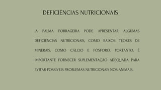 DEFICIÊNCIAS NUTRICIONAIS
.A PALMA FORRAGEIRA PODE APRESENTAR ALGUMAS
DEFICIÊNCIAS NUTRICIONAIS, COMO BAIXOS TEORES DE
MINERAIS, COMO CÁLCIO E FÓSFORO. PORTANTO, É
IMPORTANTE FORNECER SUPLEMENTAÇÃO ADEQUADA PARA
EVITAR POSSÍVEIS PROBLEMAS NUTRICIONAIS NOS ANIMAIS.
 