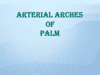 ARTERIAL ARCHES
      OF
     PALM
 
