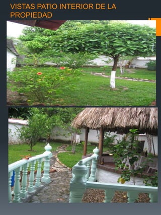 VISTAS PATIO INTERIOR DE LA
PROPIEDAD
 