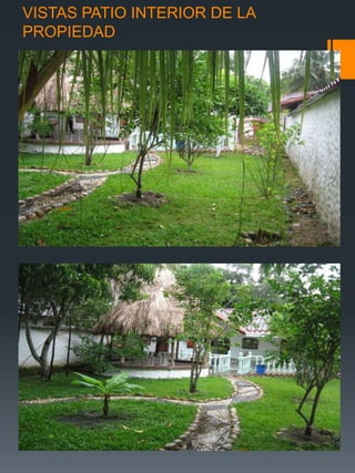 VISTAS PATIO INTERIOR DE LA
PROPIEDAD
 