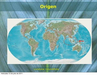 Origen




                                Livistona rotundifolia
miércoles 13 de julio de 2011
 