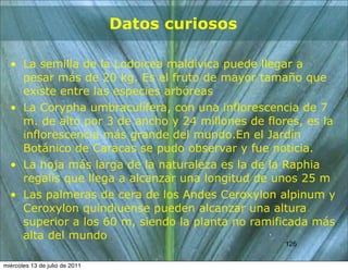 Datos curiosos

  • La semilla de la Lodoicea maldivica puede llegar a
    pesar más de 20 kg. Es el fruto de mayor tamaño que
    existe entre las especies arbóreas
  • La Corypha umbraculífera, con una inflorescencia de 7
    m. de alto por 3 de ancho y 24 millones de flores, es la
    inflorescencia más grande del mundo.En el Jardín
    Botánico de Caracas se pudo observar y fue noticia.
  • La hoja más larga de la naturaleza es la de la Raphia
    regalis que llega a alcanzar una longitud de unos 25 m
  • Las palmeras de cera de los Andes Ceroxylon alpinum y
    Ceroxylon quindiuense pueden alcanzar una altura
    superior a los 60 m, siendo la planta no ramificada más
    alta del mundo
                                                  126
                                                  126


miércoles 13 de julio de 2011
 