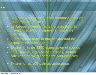 ...

        • La Reinhardtia crece en los sotobosques y no
          mide más de 30cm
        • La Jubaea chilensis tienen el estípite más
          grueso, llegando a superar el metro de
          diámetro.
        • El amazonas tiene la mayor variedad de
          especies en el mundo.
        • Existen más de 3500 especies en el mundo
        • En el Jardín Botánico de Caracas, se han
          calculado aproximadamente 600 especies

        • Existen unas 109 palmas autóctonas
                                                   127
                                                   127


miércoles 13 de julio de 2011
 