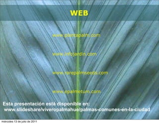 WEB

                                www.plantapalm.com



                                www.infojardin.com



                                www.rarepalmseeds.com



                                www.epalmetum.com

Esta presentación está disponible en:
www.slideshare/viveropalmahue/palmas-comunes-en-la-ciudad

miércoles 13 de julio de 2011
 