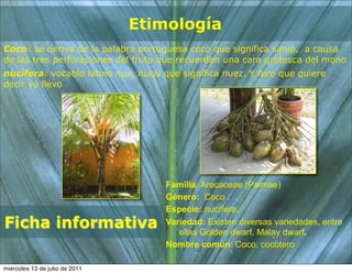 Etimología
Coco: se deriva de la palabra portuguesa coco que significa simio, a causa
de las tres perforaciones del fruto que recuerdan una cara grotesca del mono
nucífera: vocablo latino nux, nucis que significa nuez. Y fero que quiere
decir yo llevo




                                    Familia: Arecaceae (Palmae)
                                    Género: Coco .
                                    Especie: nucífera.
Ficha informativa                   Variedad: Existen diversas variedades, entre
                                       ellas Golden dwarf, Malay dwarf.
                                    Nombre común: Coco, cocotero

miércoles 13 de julio de 2011
 
