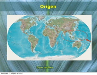 Origen




                                Coco nucífera

miércoles 13 de julio de 2011
 