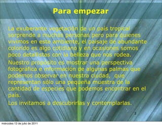 Para empezar

     La exuberante vegetación de un país tropical
     sorprende a muchas personas pero para quienes
     vivimos en este ambiente, el paisaje de abundante
     colorido es algo cotidiano y en ocasiones somos
     poco detallistas con la belleza que nos rodea.
     Nuestro propósito es mostrar una perspectiva
     fotográfica e información de algunas palmas que
     podemos observar en nuestra ciudad, que
     representan sólo una pequeña muestra de la
     cantidad de especies que podemos encontrar en el
     país.
     Los invitamos a descubrirlas y contemplarlas.
                                                 2
                                                 2


miércoles 13 de julio de 2011
 