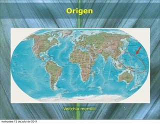 Origen




                                Veitchia merrillii


miércoles 13 de julio de 2011
 