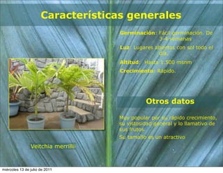 Características generales
                                     Germinación: Fácil germinación. De
                                                  3-4 semanas
                                     Luz: Lugares abiertos con sol todo el
                                                   día.
                                     Altitud: Hasta 1.500 msnm
                                     Crecimiento: Rápido.




                                               Otros datos

                                     Muy popular por su rápido crecimiento,
                                     su vistosidad general y lo llamativo de
                                     sus frutos.
                                     Su tamaño es un atractivo
                Veitchia merrillii



miércoles 13 de julio de 2011
 