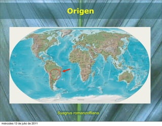 Origen




                                Syagrus romanzoffiana

miércoles 13 de julio de 2011
 