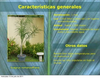 Características generales
                                    Germinación: 1 mes
                                    Luz: Crece bien a pleno sol y en lugares
                                       semisombreados.
                                    Altitud: Hasta 1.500 msnm
                                    Crecimiento: Rápido. Requiere de buen
                                       suelo y abundante agua




                                              Otros datos

                                    Resiste bien bajas temperaturas pero
                                    no menores a 0º
                                    Una de las más populares en todo el
                                    mundo

            Syagrus romanzoffiana


miércoles 13 de julio de 2011
 