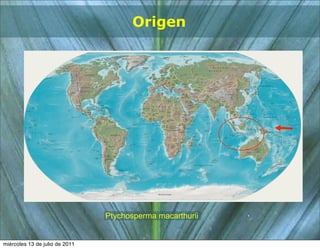 Origen




                                Ptychosperma macarthurii


miércoles 13 de julio de 2011
 