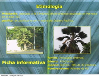 Etimología
 Pritchardia: dedicado a W.T.Pritchar, oficial británico destinado en Polinesia
 en el siglo XIX.
 pacifica: de pacificus-a-um = nativa del Océano Pacífico.




                                      Familia: Arecaceae (Palmae)

 Ficha informativa                    Género: Pritchardia
                                      Especie: Pacífica. Más de 30 especies.
                                      Nombre común: Palmera de Fiji

miércoles 13 de julio de 2011
 