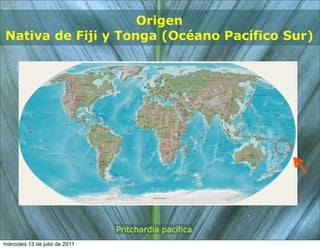 Origen
Nativa de Fiji y Tonga (Océano Pacífico Sur)




                                Pritchardia pacífica
miércoles 13 de julio de 2011
 