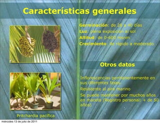 Características generales
                                   Germinación: de 28 a 40 días
                                   Luz: plena exposición al sol
                                   Altitud: de 0-600 msnm
                                   Crecimiento: de rápido a moderado




                                             Otros datos

                                   Inflorescencias permanentemente en
                                   sus diferentes fases.
                                   Resistente al aire marino
                                   Se puede mantener por muchos años
                                   en maceta (Registro personal: + de 50
                                   años)

            Pritchardia pacífica
miércoles 13 de julio de 2011
 