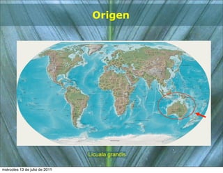 Origen




                                Licuala grandis

miércoles 13 de julio de 2011
 