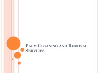 PALM CLEANING AND REMOVAL
SERVICES

 