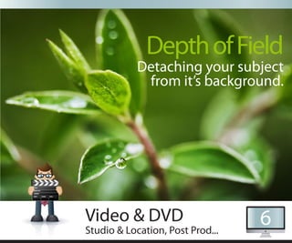 Depth of Field
            Detaching your subject
             from it’s background.




Video & DVD                       6
Studio & Location, Post Prod...
 