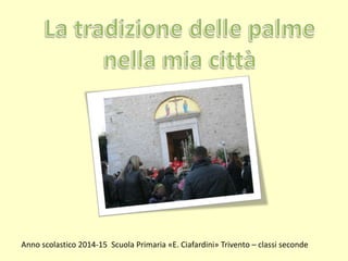 Anno scolastico 2014-15 Scuola Primaria «E. Ciafardini» Trivento – classi seconde 
 