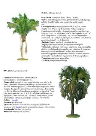 INDAIÁ (Attalea dubia)
Ocorrência: do espírito Santo à Santa Catarina
Outros nomes: coqueiro indaiá, palmeira indaiá, indaiá guaçu,
palmito de chão, inaiá, naiá, camarinha, anajá, indaiá
açu
Características: espécie com altura de 10 a 20 m , tronco
simples com 20 a 35 cm de diâmetro. Folhas com pinas
irregularmente arranjadas e inseridas em diferentes planos ao
longo da raque, em número de 20 a 30 contemporâneas, de 2 a 3
m de comprimento. Cacho com 1 a 1,5 m de comprimento.
Frutos com 1 a 2 sementes, oblongos, medindo de 6 a 6,5 cm de
comprimento por 3 cm de diâmetro.
Habitat - floresta pluvial da encosta atlântica
Propagação: coco-semente ou a semente despolpada
Utilidade: a madeira é empregada localmente para construções
rústicas. As folhas são empregadas para cobertura de pequenas
construções rurais. Os f rutos e amêndoas comestíveis e
consumidos por várias espécies de animais. Palmeira bastante
ornamental e indicada para regeneração de áreas degradadas.
Florescimento: agosto a dezembro
Frutificação - junho a novembro
JATAÍ (Butia purpurascens)
Ocorrência: endêmica do estado de Goiás
Outros nomes - palmeira jataí, butiá
Características: espécie com tronco simples, com até 4 m de
altura e 18 cm de diâmetro, revestido por remanescentes dos
pecíolos de folhas já caídas.. Folhas fortemente arqueadas, com as
margens dos pecíolos densamente fibrosas na base e diminuindo
em direção à lâmina foliar. Raque sem dentes ou espinhos. Pinas
com número variável, de 52 a 58 de cada lado, uniformemente
espaçadas. Frutos ovóides, de 2 a 3 cm de comprimento, de cor
amarelada ou arroxeada, com polpa suculenta e aromática.
Habitat - cerrado
Propagação: sementes
Utilidade: palmeira indicada para paisagismo. Fruto muito
apreciado pela fauna silvestre, animais domésticos e pelo homem.
Frutificação: outubro a dezembro
Ameaças: ameaçada de extinção
 