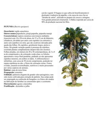 carvão vegetal. O bagaço (o que sobra do beneficiamento) é
destinado à indústria de papelão, e da casca do coco faz-se
"farinha de satim", utilizada no preparo de cuscuz e mingaus.
Tem grande potencial ornamental. A Bahia responde por cerca de
90% da produção nacional de fibra.
PUPUNHA (Bactris gasipaes)
Ocorrência: região amazônica
Outros nomes:pupunheira, pirajá pupunha, pupunha marajá
Características: espécie monóica com troncos múltiplos
(touceira) com 10 a 20 m de altura, de 15 a 25 cm de diâmetro,
cilíndricos, divididos por anéis com espinhos (os entrenós) e
anéis sem espinhos (os nós), que são cicatrizes deixadas pela
queda das folhas. Os espinhos, geralmente largos, pretos e
fortes. Há grande variação quanto à presença de espinhos,
existindo plantas completamente desprovidas dos mesmos.
Folhas pinadas, em número de 20 a 30 contemporâneas, de 3 a 4
m de comprimento e de coloração verde-clara, os folíolos
apresentam o terço final pendente, podendo ou não apresentar
espinhos menores, em ambos os lados. A inflorescência é
infrafoliar, com cerca de 50 cm de comprimento, podendo ter
espata espinhosa ou não, e flores de coloração creme. Frutos
ovóides, amarelo-avermelhados, nutritivos e muito procurados
por várias espécies de animais.
Habitat: mata de terra firme
Propagação: sementes
Utilidade: palmeira elegante de grande valor paisagístico, tem
sido muito cultivada para extração de palmito. Seu estipe pode
ser empregado na confecção de bengalas e os frutos são usados
na fabricação de farinhas ou consumidos após o cozimento.
Florescimento: agosto a dezembro
Frutificação - dezembro a julho
 