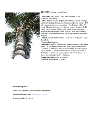 TUCUMÃ (Astrocaryum vulgare)
Ocorrência: Pará, Piauí, Ceará, Mato Grosso, Goiás,
Maranhão e Tocantins
Outros nomes: tucumã do pará, tucum bravo, tucum piutanga
Características:palmeira dom tronco múltiplo em número de 4
a 6, raramente, simples, chegando a 10 m de altura e 10 a 20
cm de diâmetro, cobertos por espinhos pretos com cerca de 20
cm de comprimento. Folhas eretas com folíolos agrupadas
irregularmente formando vários planos. Cacho não pendente,
com cerca de 1560 sementes de cor laranja-amarelada quando
maduros.
Habitat: floresta de terra firme e invasora de pastagens e áreas
degradadas
Propagação: sementes
Utilidade: a madeira é empregada localmente para construções
rurais. Os frutos são comestíveis e muito ricos em vitamina A.
O palmito é comestível. As folhas são usadas na confecção de
cordas e redes. A amêndoa fornece óleo branco comestível e
desse óleo se obtém sabão, cosméticos e medicamentos. Os
frutos são muito apreciados pela fauna.
Florescimento: agosto a novembro
Frutificação: novembro a maio
Fontes bibliográficas:
Cultura das palmaceas apostila retirada do site ehow
Palmeiras nativas do Brasil www.vivaterra.com.br
Imagens retiradas da internet
 