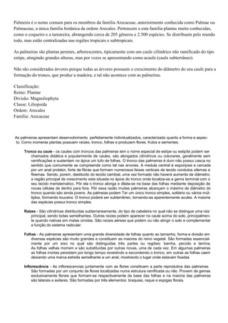 Palmeira é o nome comum para os membros da família Arecaceae, anteriormente conhecida como Palmae ou
Palmaceae, a única família botânica da ordem Arecales. Pertencem a esta família plantas muito conhecidas,
como o coqueiro e a tamareira, abrangendo cerca de 205 gêneros e 2.500 espécies. Se distribuem pelo mundo
todo, mas estão centralizadas nas regiões tropicais e subtropicais.
As palmeiras são plantas perenes, arborescentes, tipicamente com um caule cilíndrico não ramificado do tipo
estipe, atingindo grandes alturas, mas por vezes se apresentando como acaule (caule subterrâneo).
Não são consideradas árvores porque todas as árvores possuem o crescimento do diâmetro do seu caule para a
formação do tronco, que produz a madeira, e tal não acontece com as palmeiras.
Classificação:
Reino: Plantae
Divisão: Magnoliophyta
Classe: Liliopsida
Ordem: Arecales
Família: Arecaceae
As palmeiras apresentam desenvolvimento perfeitamente individualizados, caracterizado quanto a forma e aspec-
to. Como inúmeras plantas possuem raízes, tronco, folhas e produzem flores, frutos e sementes.
Tronco ou caule - os caules com troncos das palmeiras tem o nome especial de estípe ou estipíte podem ser
chamados didática e popularmente de caules, são alongados cilíndricos ou colunares, geralmente sem
ramificações e sustentam no ápice um tufo de folhas. O tronco das palmeiras é duro não possui casca no
sentido que comumente se compreende como tal nas arvores. A medula central é esponjosa e cercada
por um anel protetor, forte de fibras que formam numerosos feixes verticais de tecido condutos xilemas e
floemas. Sendo, porem, destituído do tecido cambial, uma vez formado não haverá aumento de diâmetro;
a região principal de crescimento esta situada no ápice do tronco onde localiza-se a gema terminal com o
seu tecido meristematico. Pôr ela o tronco alonga e dilata-se na base das folhas mediante deposição de
novas células de dentro para fora. Pôr essa razão muitas palmeiras alcançam o máximo de diâmetro do
tronco quando são ainda jovens. As palmeias podem Ter um único tronco simples, solitário ou vários múl-
tiplos, formando touceira. O tronco poderá ser subterrâneo, tornando-as aparentemente acules. A maioria
das espécies possui tronco simples.
Raízes - São cilíndricas distribuídas subterraneamente, do tipo de cabeleira no qual não se distingue uma raiz
principal, sendo todas semelhantes. Outras raízes podem aparecer no caule acima do solo, principalmen-
te quando nativas em matas úmidas. São raízes aéreas que podem ou não atingir o solo e complementar
a função do sistema radicular.
Folhas - As palmeiras apresentam uma grande diversidade de folhas quanto ao tamanho, forma e divisão em
diversas espécies são muito grandes e constituem as maiores do reino vegetal. São formadas essencial-
mente por um eixo no qual são distinguidas três partes ou regiões: bainha, pecíolo e lamina.
As folhas velhas morrem e são substituídas por outras novas, uma de cada vez. Em algumas palmeiras
as folhas mortas persistem por longo tempo revestindo e escondendo o tronco, em outras as folhas caem
deixando uma marca estreita semelhante a um anel, mostrando o lugar onde estavam fixadas
Inflorescência - As inflorescencias juntamente com as flores constituem a parte reprodutiva das palmeiras.
São formadas por um conjunto de flores localizadas numa estrutura ramificada ou não. Provem de gemas
exclusivamente florais que formam-se respectivamente da base das folhas e na maioria das palmeiras
são laterais e axilares. São formadas por três elementos: braquias, raque e espigas florais.
 