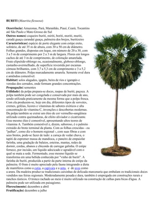 BURITI (Mauritia flexuosa)
Ocorrência: Amazonas, Pará, Maranhão, Piauí, Ceará, Tocantins
até São Paulo e Mato Grosso do Sul
Outros nomes: coqueiro buriti, miriti, boriti, moriti, muriti,
caradá guaçu carandaí guaçu, palmeira dos brejos, buritizeiro
Características: espécie de porte elegante com estipe ereto,
solitário, de até 35 m de altura, com 30 a 50 cm de diâmetro.
Folhas grandes, dispostas em leque, em número de 20 a 30, com
3 a 5 m de comprimento por 2 a 3 m de largura. Flores em longos
cachos de até 3 m de comprimento, de coloração amarelada.
Fruto elipsóide-oblongo ou, ocasionalmente, globoso-oblongo,
castanho-avermelhado, de superfície revestida por escamas
córneas brilhantes, com 3,7 a 5,3 cm de comprimento e 3 a 5,2
cm de diâmetro. Polpa marcadamente amarela. Semente oval dura
e amêndoa comestível.
Habitat: solos alagados, igapós, beira de rios e igarapés e
veredas dos cerrados, onde formam grandes concentrações.
Propagação: sementes
Utilidade: da polpa prepara-se doces, raspas de buriti, paçoca. A
polpa também pode ser congelada e conservada por mais de ano,
sendo utilizada praticamente da mesma forma que a polpa fresca.
Com ela produzem-se, hoje em dia, diferentes tipos de sorvetes,
cremes, geléias, licores e vitaminas de sabores exóticos e alta
concentração de vitamina C, invenções e descobertas modernas.
Da polpa também se extrai um óleo de cor vermelho-sangüínea
utilizado contra queimaduras, de efeito aliviador e cicatrizante.
Esse mesmo óleo é comestível, apresentando altos teores de
vitamina A. Também comestível e, dizem, saboroso, é o palmito
extraído do broto terminal da planta. Com as folhas crescidas - ou
"palhas", como diz o homem regional -, com suas fibras e com
seus brotos, pode-se fazer de tudo: a caroça de vedar chuva, o
tapiti de espremer massa de mandioca, o paneiro de empaiolar
farinha, uma gradação de balaios, esteiras, mantas, redes de
dormir, cordas, abanos e chiconãs de carregar galinha. O estipe
fornece, por incisão, um líquido adocicado e agradável com o
qual se mata a sede. Fermentado, esse mesmo líquido se
transforma em uma bebida conhecida por "vinho de buriti". A
farinha de buriti, produzida a partir da parte interna do estipe da
palmeira. O fruto é muito apreciado pela fauna integrando a dieta
de mamíferos como a cutia, a capivara e a anta, e de aves como
a arara. Da madeira produz-se tradicionais caixinhas de delicada marcenaria que embalam os tradicionais doces
vendidos nas feiras regionais. Moderadamente pesada e dura, também é empregada em construções rurais e
ranchos rústicos. O tronco rachado ao meio é muito utilizado na construção de calhas para bicas d'água. A
palmeira pode ser utilizada em paisagismo.
Florescimento: dezembro a abril
Frutificação: dezembro a julho
 